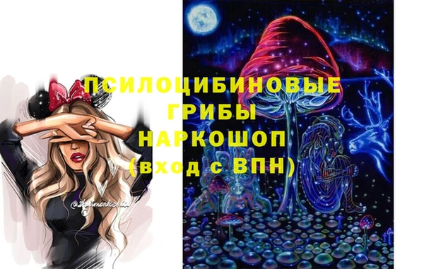 PSILOCYBIN Беломорск
