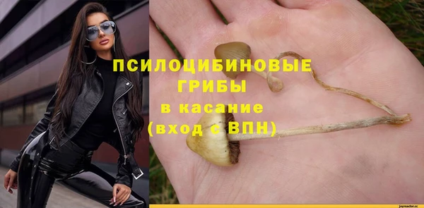 метадон Белокуриха