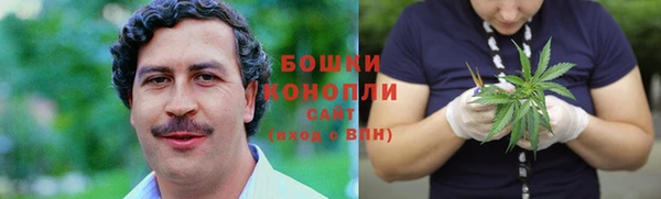 метадон Белокуриха