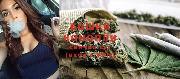 PSILOCYBIN Беломорск